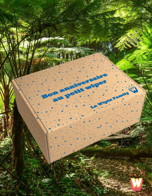 Box Jungle